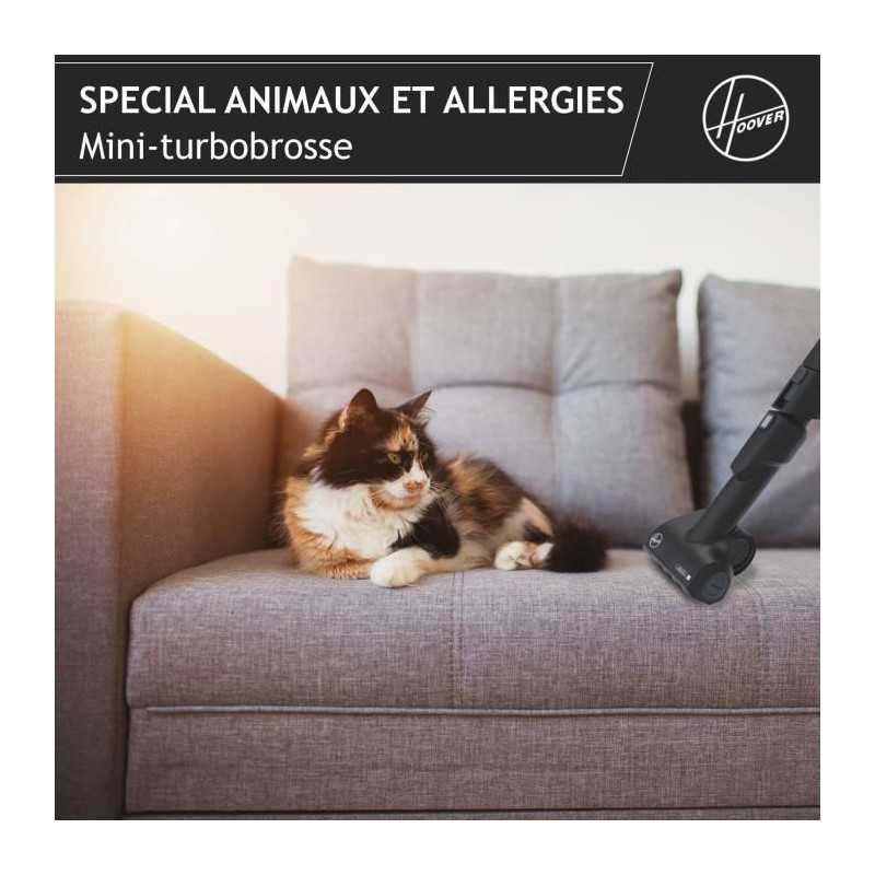 HOOVER HE530ALG Aspirateur traîneau avec sac, Puissant 850 W, Silencieux 69db, Grande Capacité 3,5L Special Allergie & Poils A