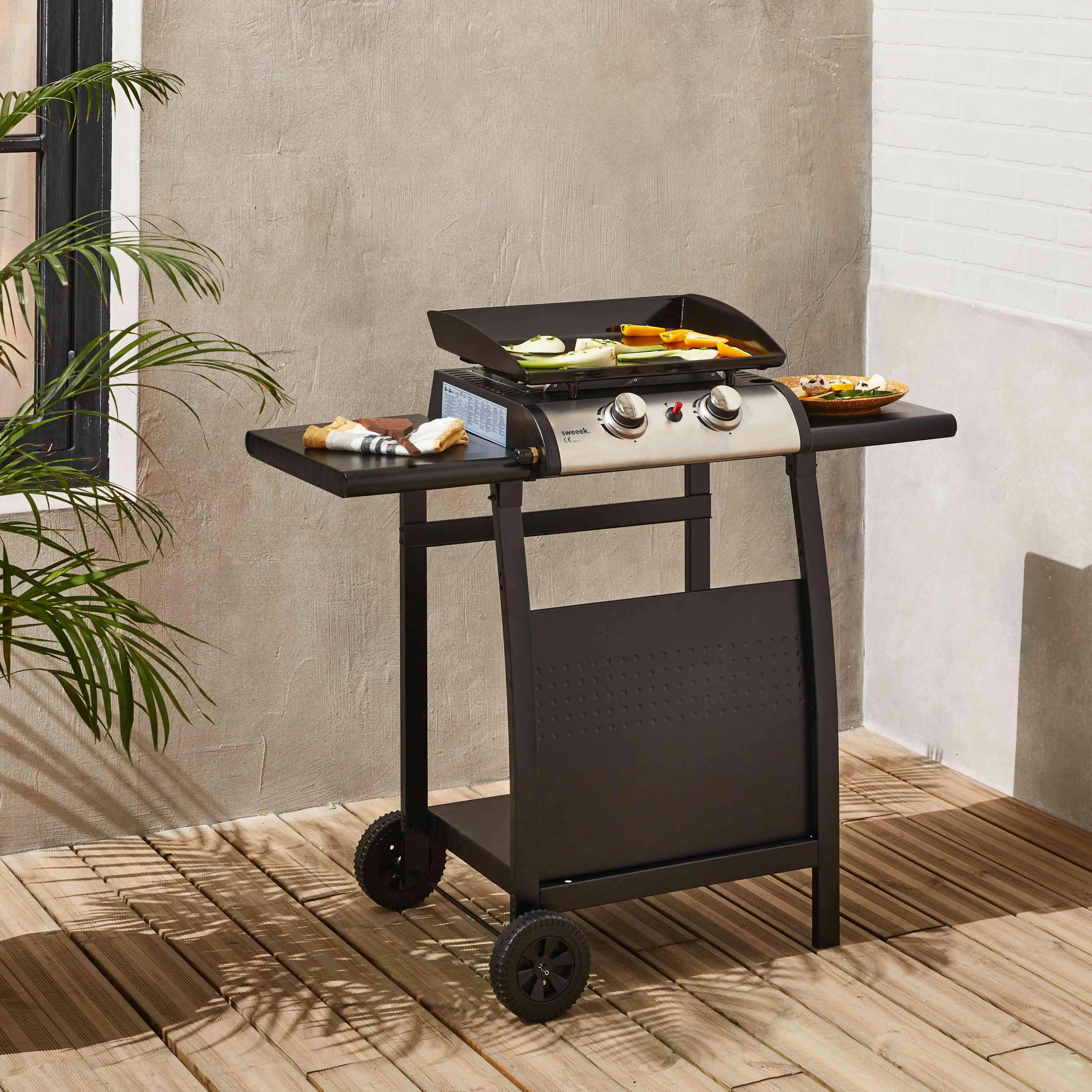 Plancha gaz 2 brûleurs inox 5kW avec chariot