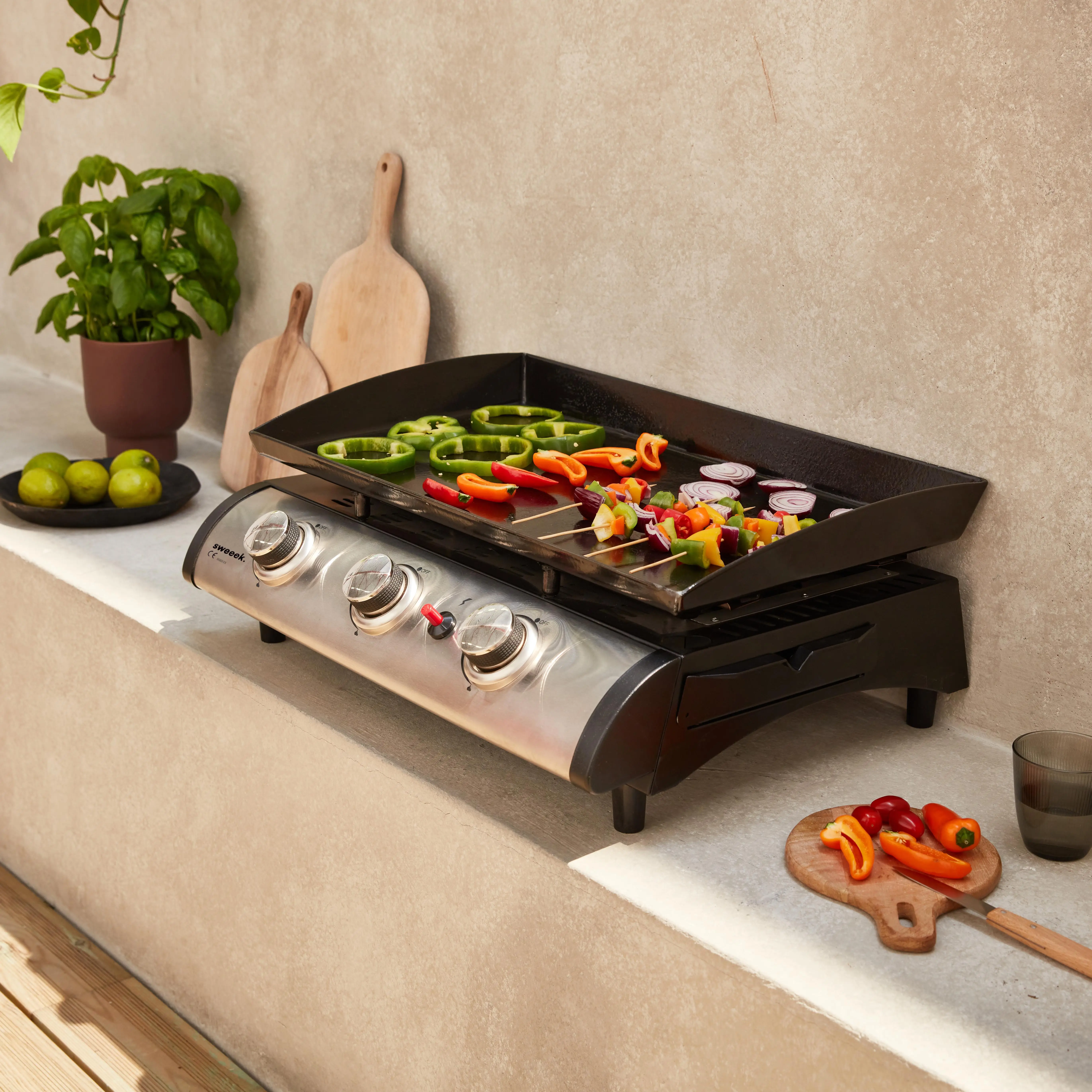 Plancha gaz 3 brûleurs inox 7,5kW